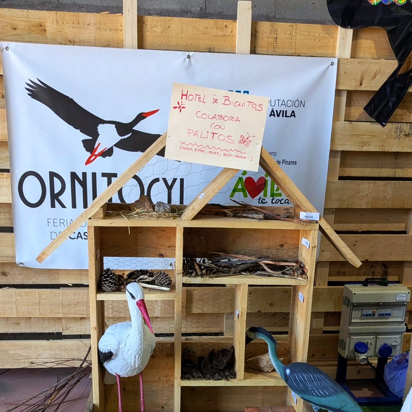 Hotel de insectos en Ornitocyl 2025